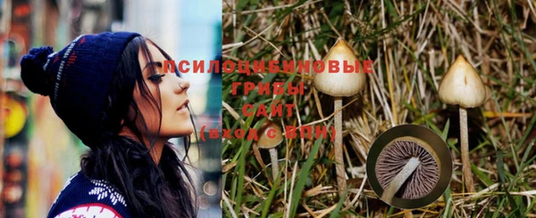 соль ск Зерноград