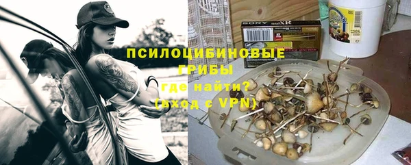 соль ск Зерноград