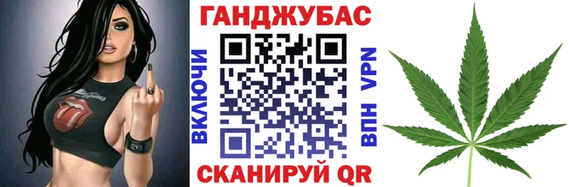 Купить закладки  Елизово  Бошки марихуана планчик 